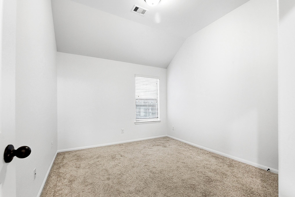 29142 Crested Butte Drive - Photo 29
