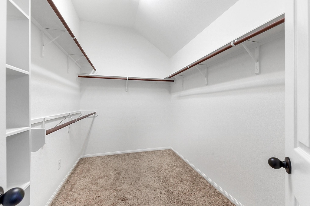 29142 Crested Butte Drive - Photo 25