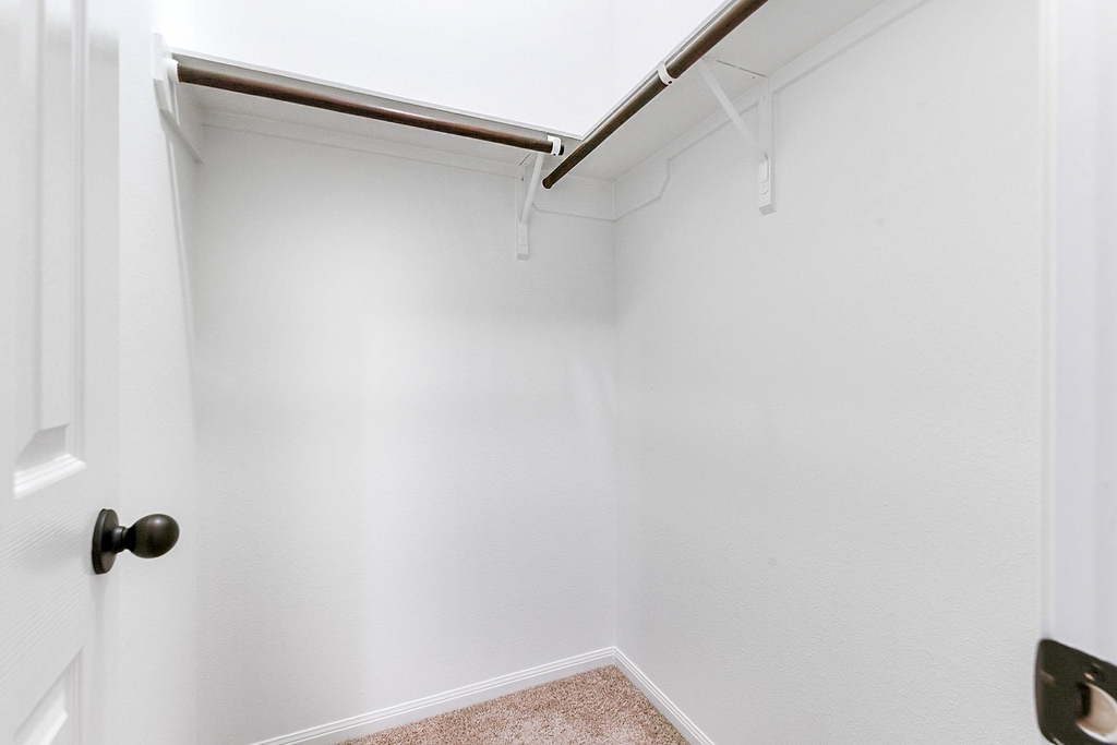 29142 Crested Butte Drive - Photo 27
