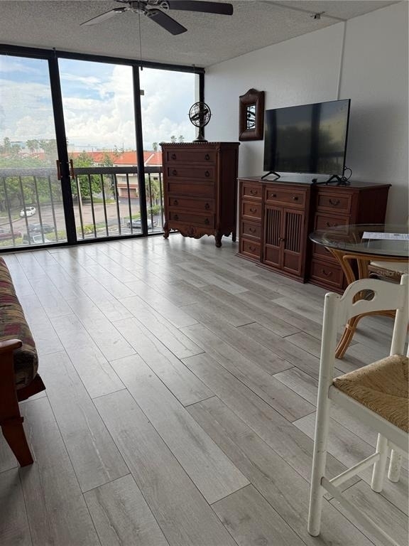 255 Dolphin Point - Photo 2