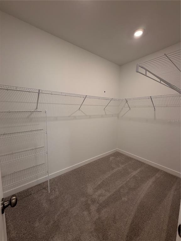 5063 Loggia Lane - Photo 13