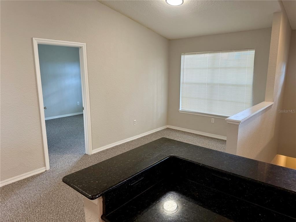 826 Grand Regency Point - Photo 10