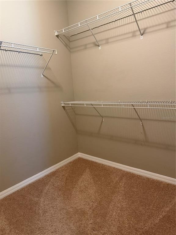 29 Forsythe Lane - Photo 14