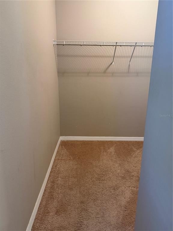 29 Forsythe Lane - Photo 13