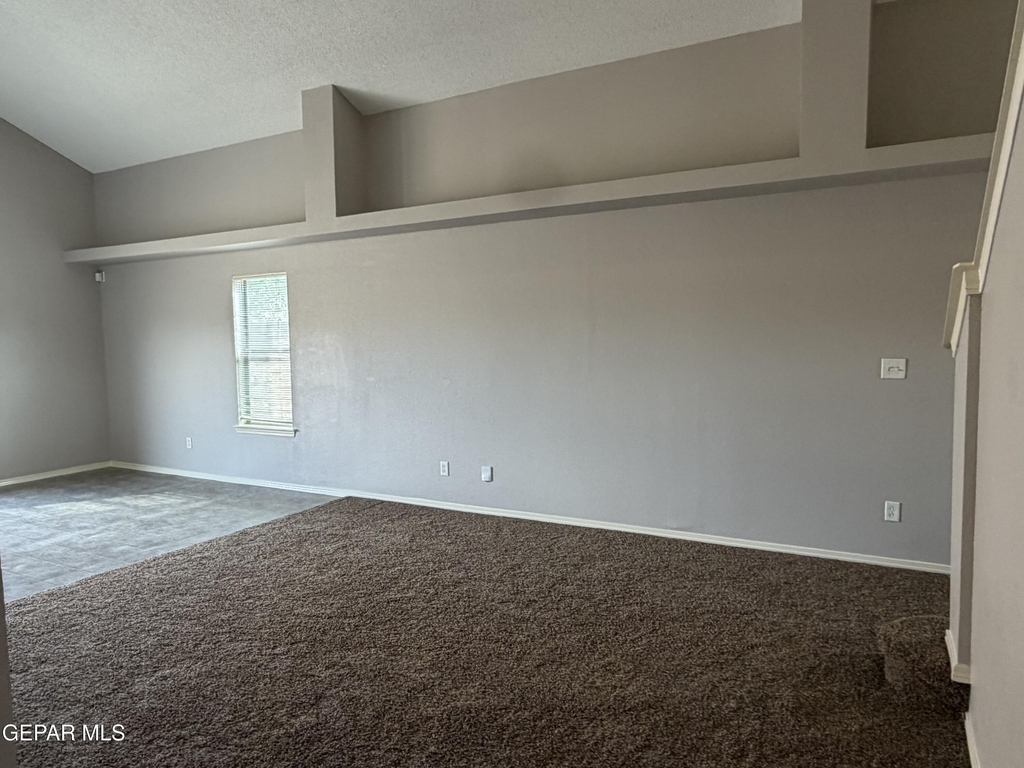 11728 Mesquite Bush Drive - Photo 6