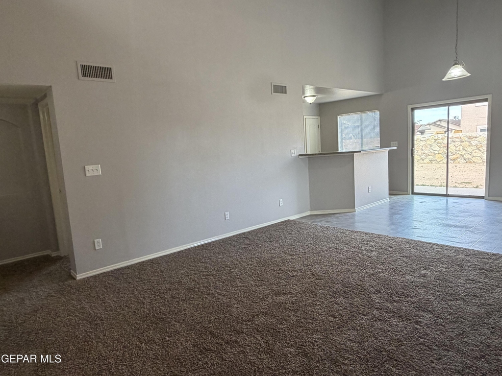 11728 Mesquite Bush Drive - Photo 11