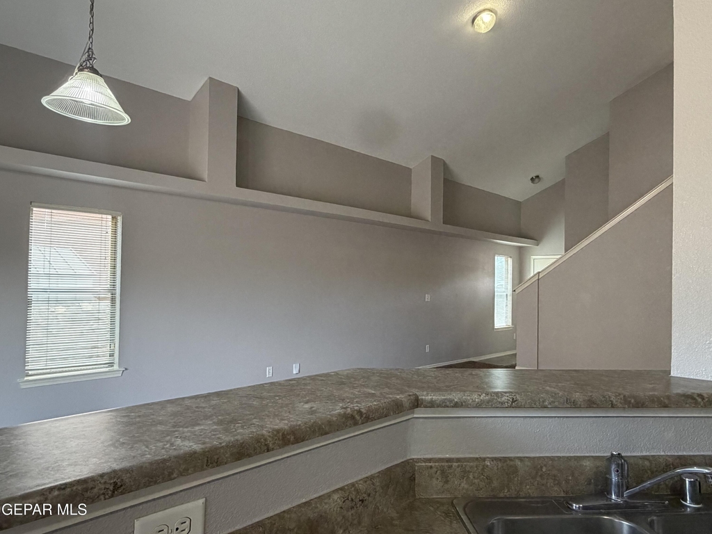 11728 Mesquite Bush Drive - Photo 16
