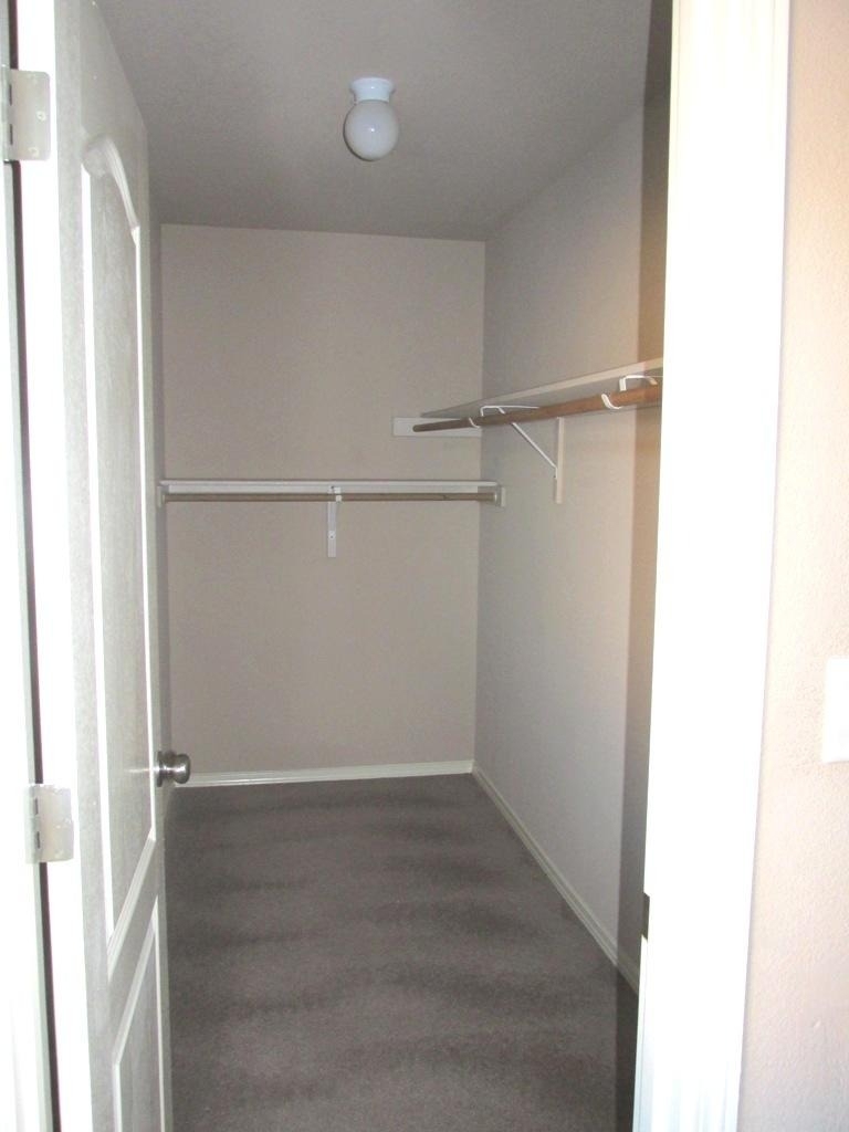 11728 Mesquite Bush Drive - Photo 11