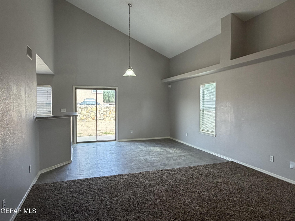 11728 Mesquite Bush Drive - Photo 13
