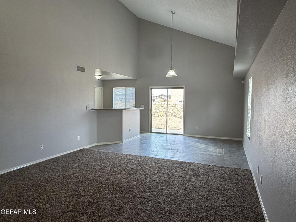 11728 Mesquite Bush Drive - Photo 10