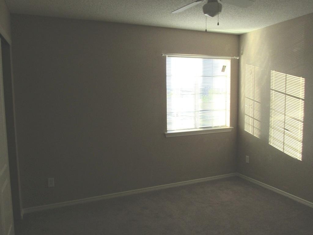 11728 Mesquite Bush Drive - Photo 12