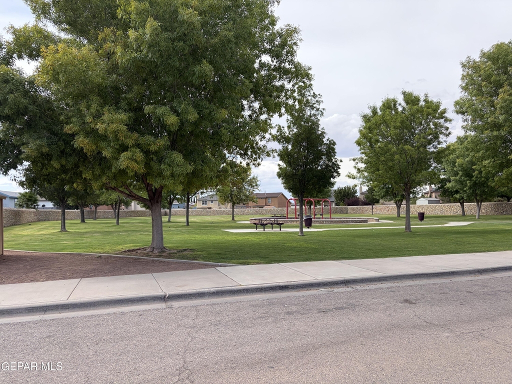 11728 Mesquite Bush Drive - Photo 4