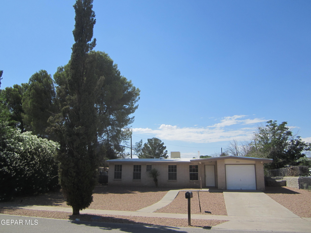 305 Corvena Way - Photo 0