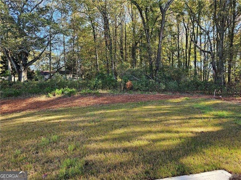 194 Green Love Lane - Photo 33
