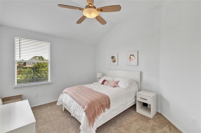5104 White Spruce Drive - Photo 8