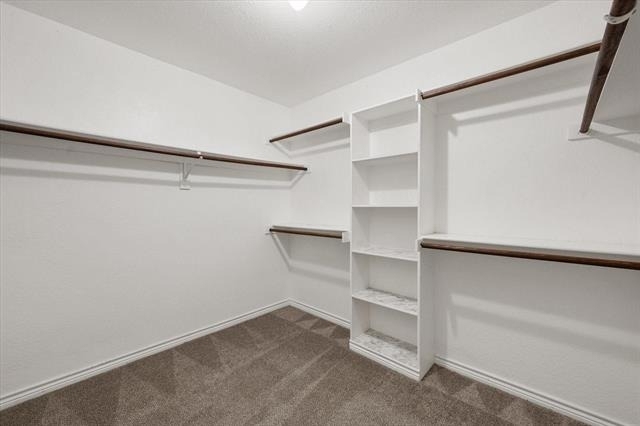 7700 Buccaneer Circle - Photo 23