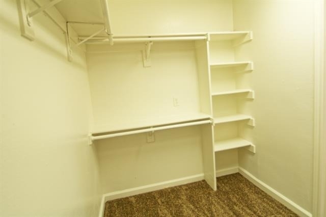 6418 Wildhaven Drive - Photo 24