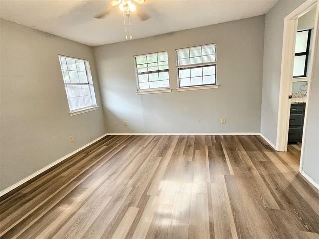 1124 Kathy Lane - Photo 13