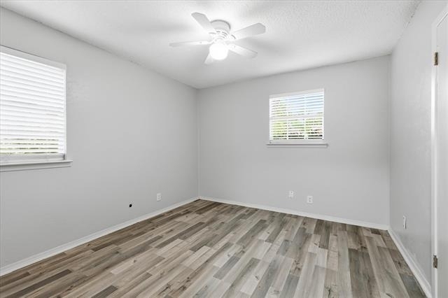 6540 Bernadine Drive - Photo 12