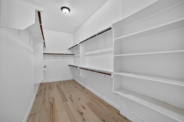 10712 Troutt Drive - Photo 16