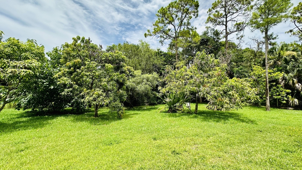 16611 68th Street N - Photo 42