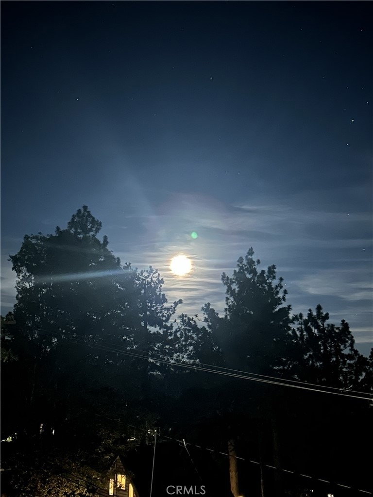31572 Inspiration - Photo 54