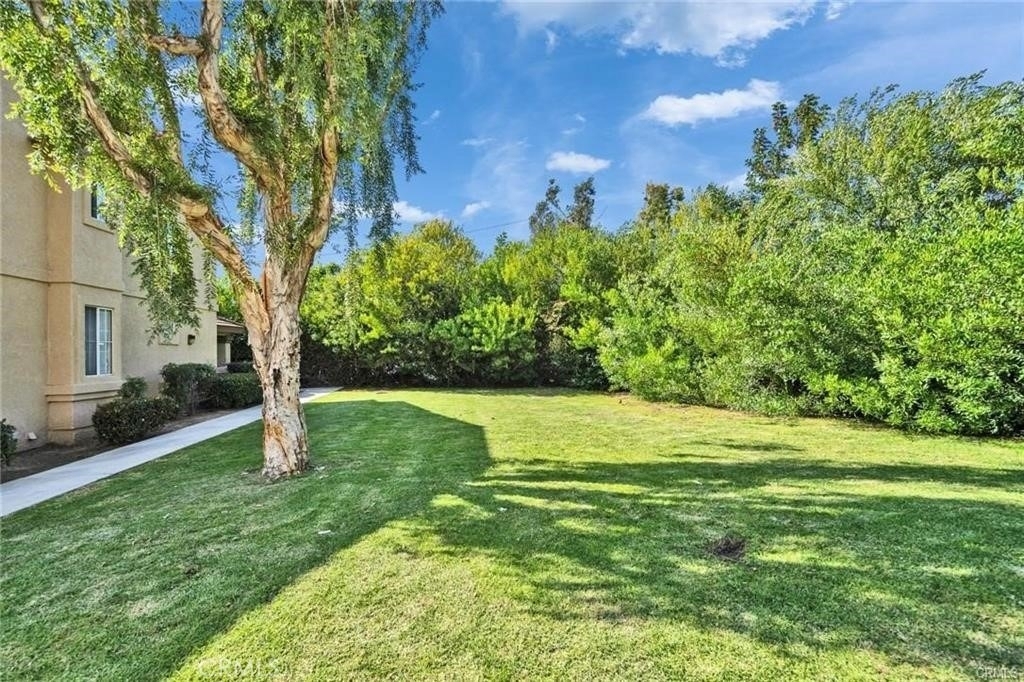 312 Torito Ln - Photo 30