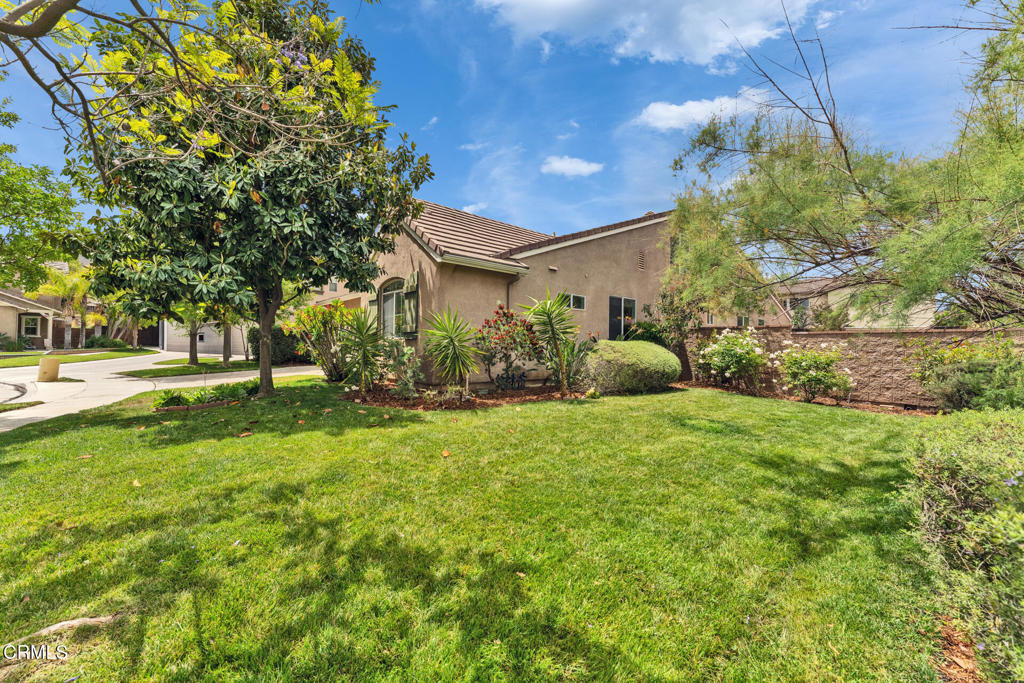 24889 Ash Tree Court - Photo 3