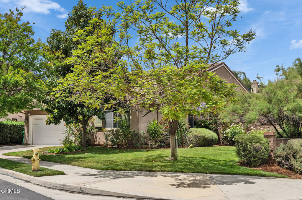 24889 Ash Tree Court - Photo 2