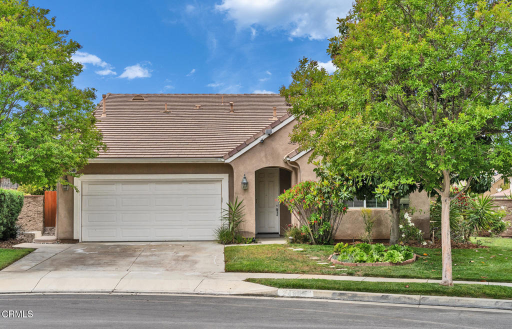 24889 Ash Tree Court - Photo 1