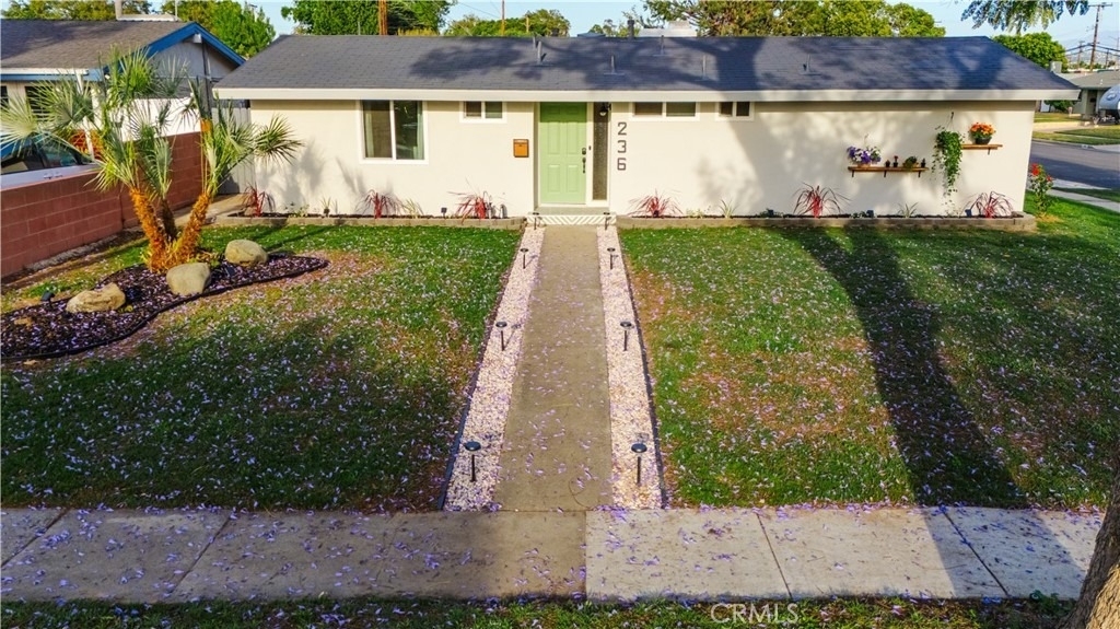 236 Mission - Photo 0