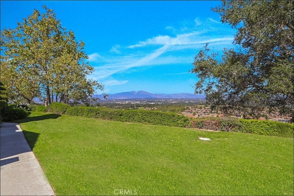 80 Verdin - Photo 1
