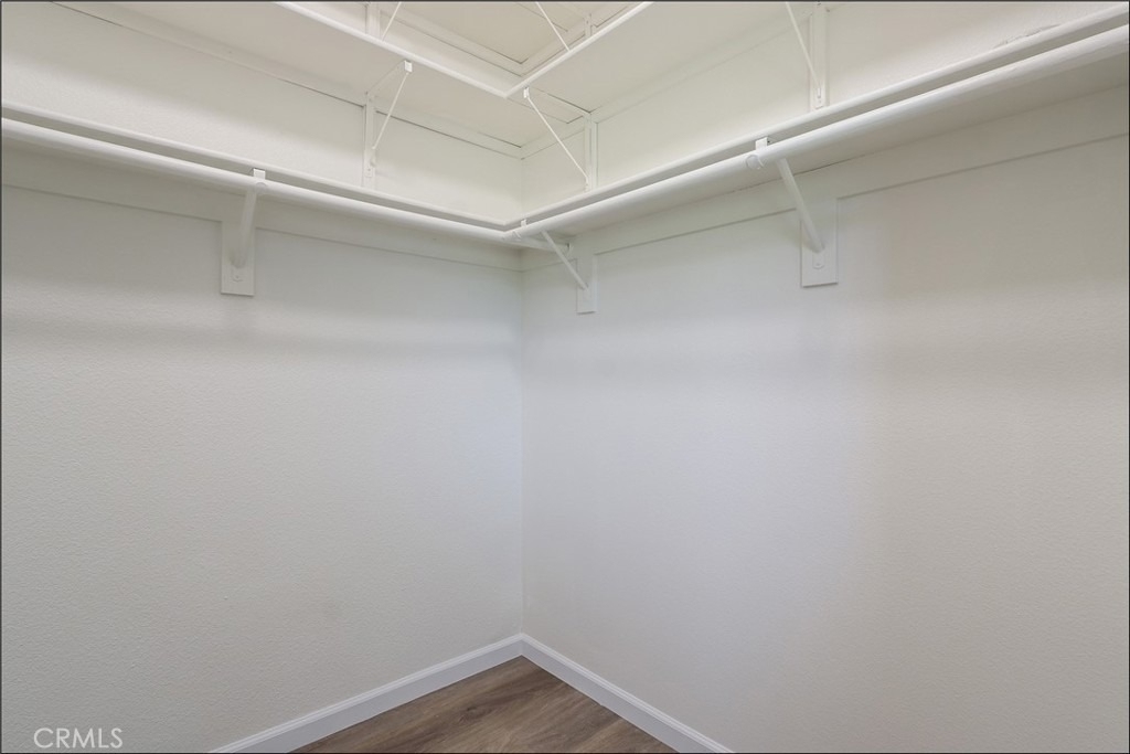 80 Verdin - Photo 20