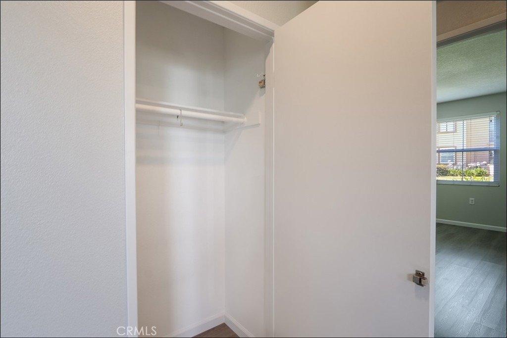 80 Verdin - Photo 15