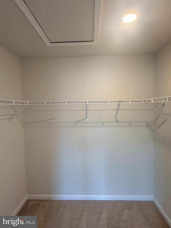 6504 Bullrush Court - Photo 15