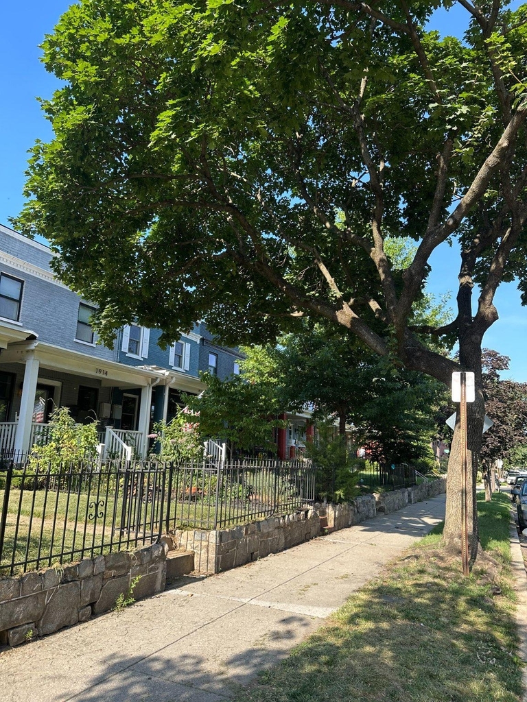 1914 D Street Ne - Photo 25
