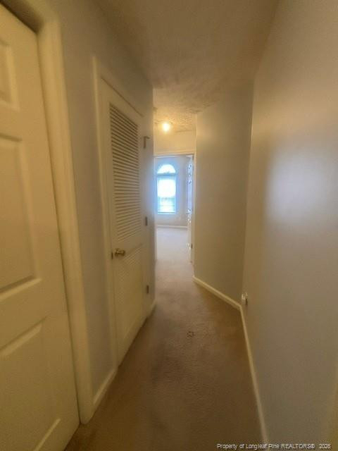 362 Bubble Creek Court - Photo 13