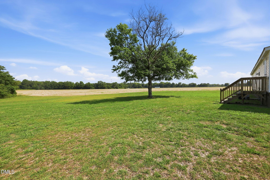 1385 Live Oak Road - Photo 1