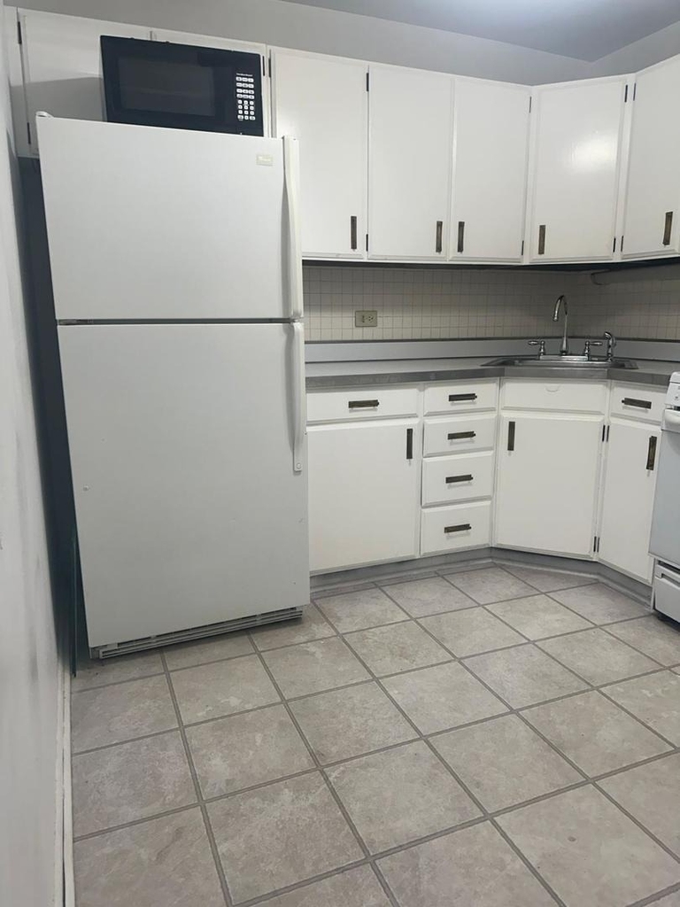 400 E Randolph Street - Photo 8