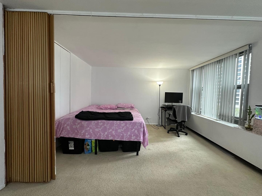 400 E Randolph Street - Photo 12