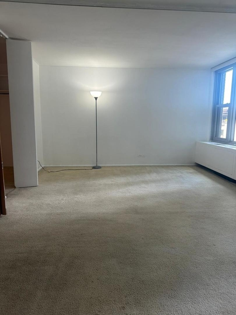 400 E Randolph Street - Photo 7
