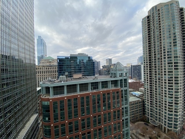 345 N Lasalle - Photo 16