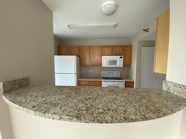 345 N Lasalle - Photo 3