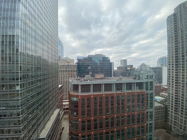 345 N Lasalle - Photo 13