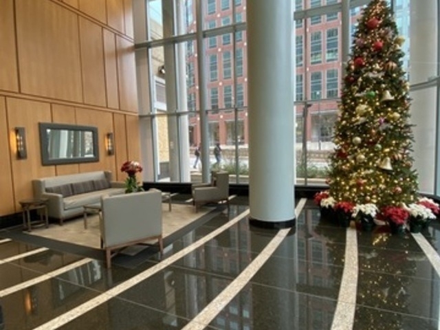 345 N Lasalle - Photo 12