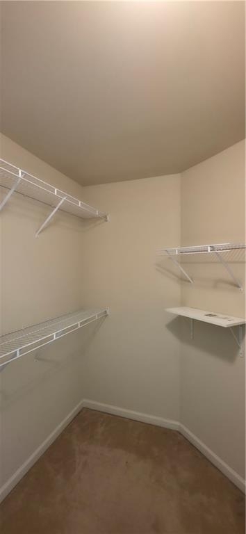 2200 Oakland Grove Place - Photo 12