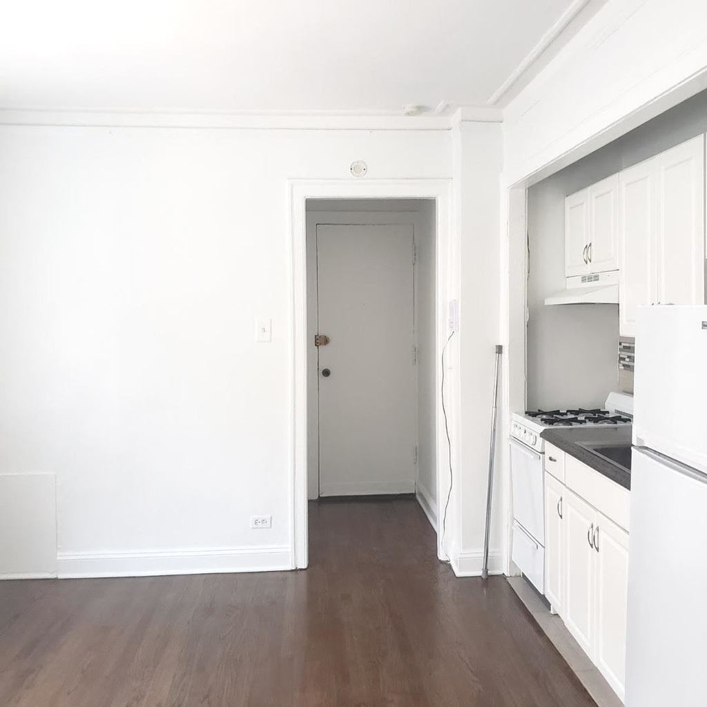 1064 W Thorndale Avenue - Photo 4