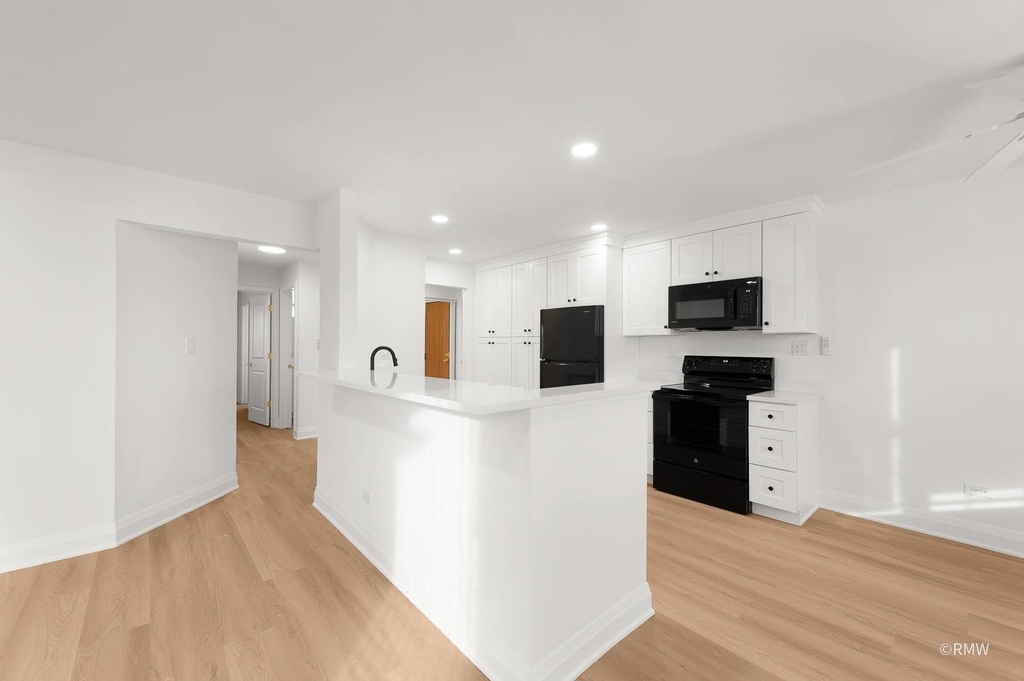 240 S Rush Street - Photo 3