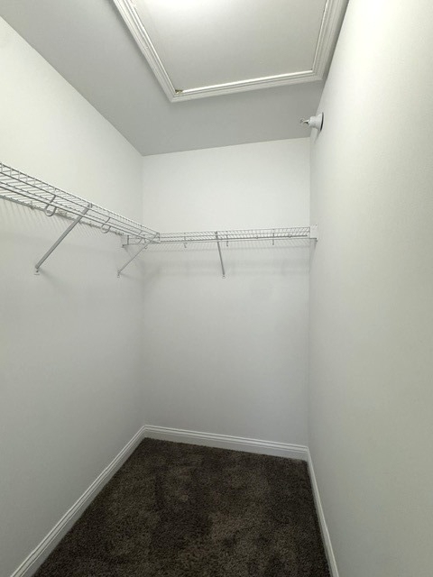 2479 Frost Drive - Photo 19