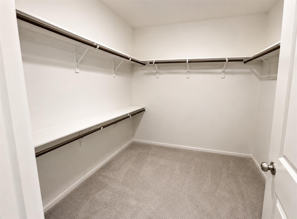 20910 Zuccala Drive - Photo 10